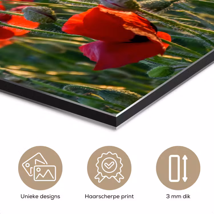 Bloemen - Klaprozen - Natuur - Rood aluminium wit klein -closeup_NL