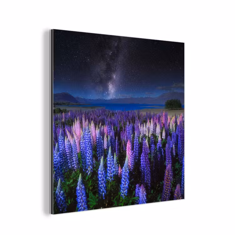 Bloemen - Nacht - Lupine - Sterrenhemel - Paars - Natuur aluminium wit klein -3d