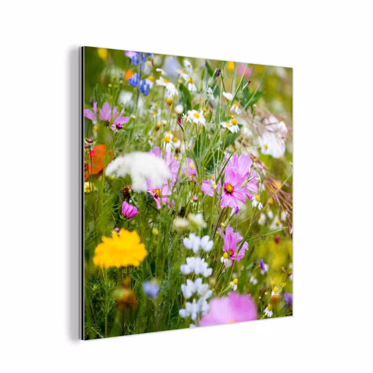 Bloemen - Natuur - Groen - Gras - Paars - Wit aluminium wit klein -3d