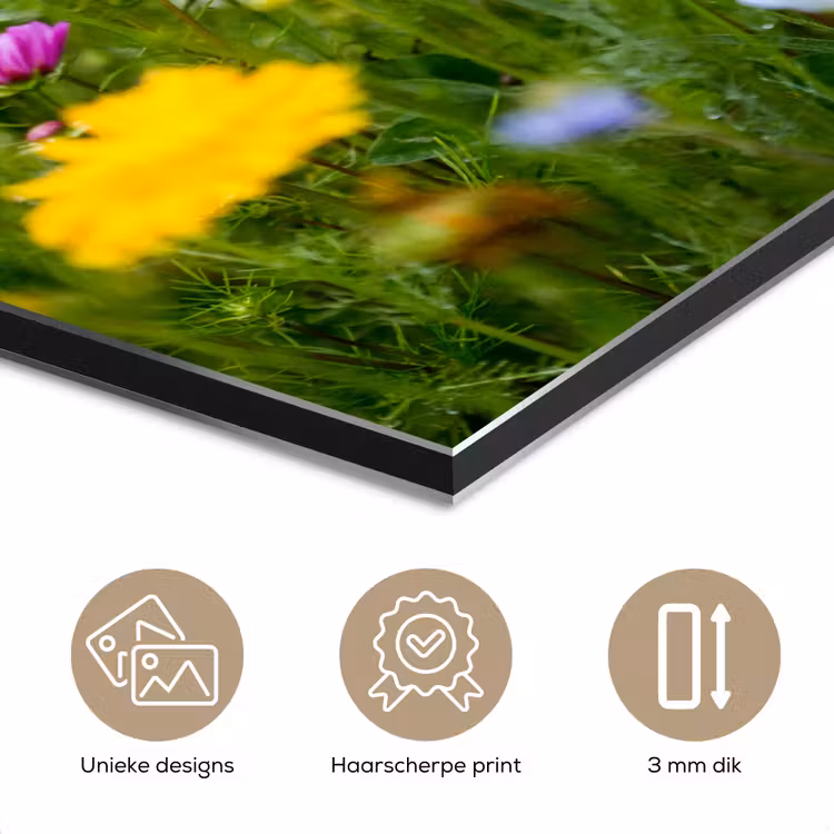 Bloemen - Natuur - Groen - Gras - Paars - Wit aluminium wit klein -closeup_NL