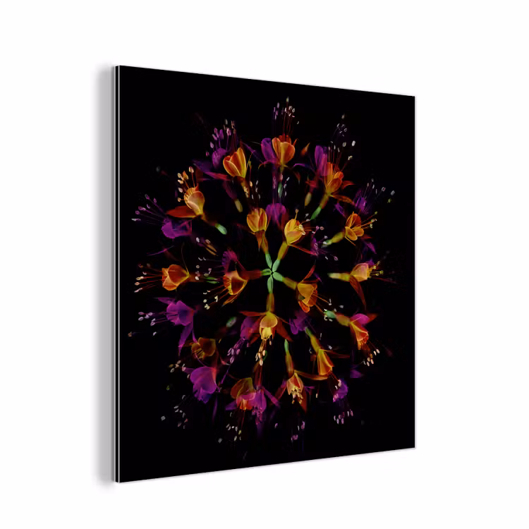 Bloemen - Oranje - Roze - Zwart aluminium wit klein -3d