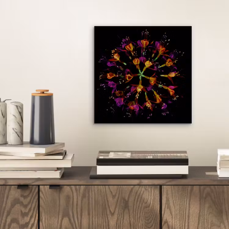 Bloemen - Oranje - Roze - Zwart aluminium wit klein -sfeer1