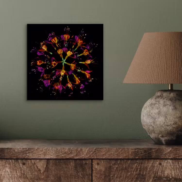 Bloemen - Oranje - Roze - Zwart aluminium wit klein -sfeer2