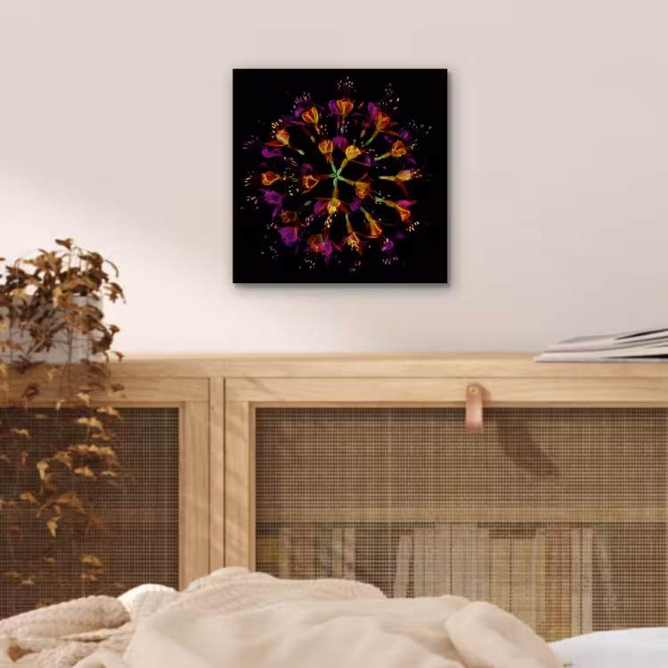 Bloemen - Oranje - Roze - Zwart aluminium wit klein -sfeer3