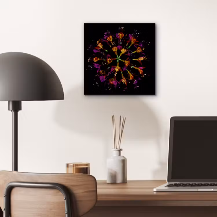Bloemen - Oranje - Roze - Zwart aluminium wit klein -sfeer5