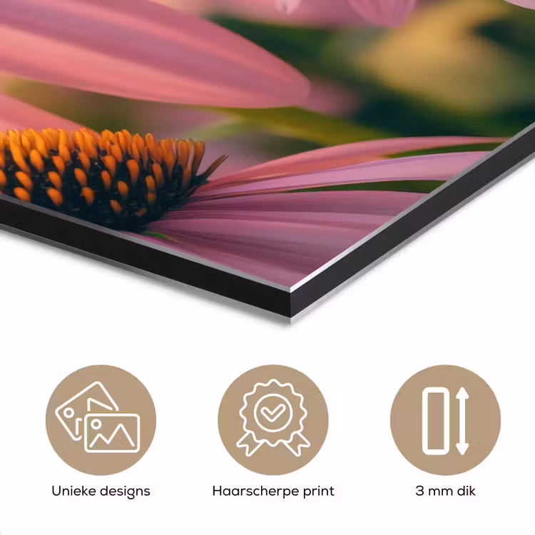 Bloemen - Paars - Bijen aluminium wit klein -closeup_NL