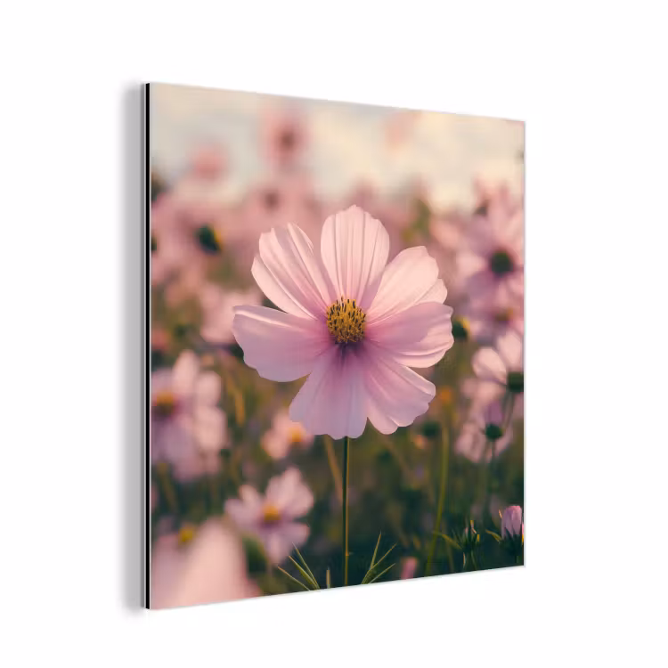 Bloemen - Paars - Wazig aluminium wit klein -3d