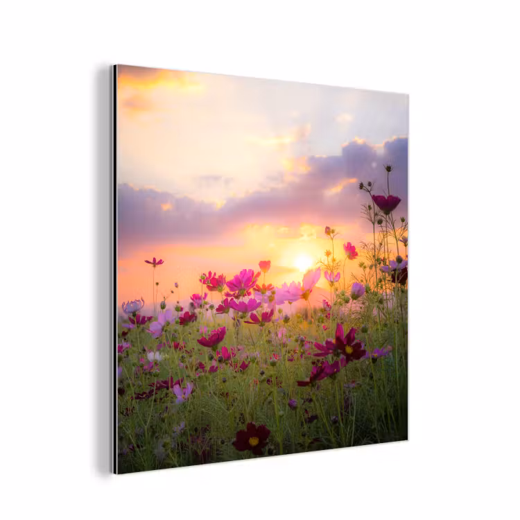 Bloemen - Roze - Zonsondergang - Natuur - Weide - Horizon aluminium wit klein -3d