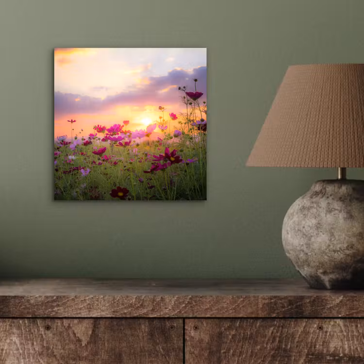 Bloemen - Roze - Zonsondergang - Natuur - Weide - Horizon aluminium wit klein -sfeer2