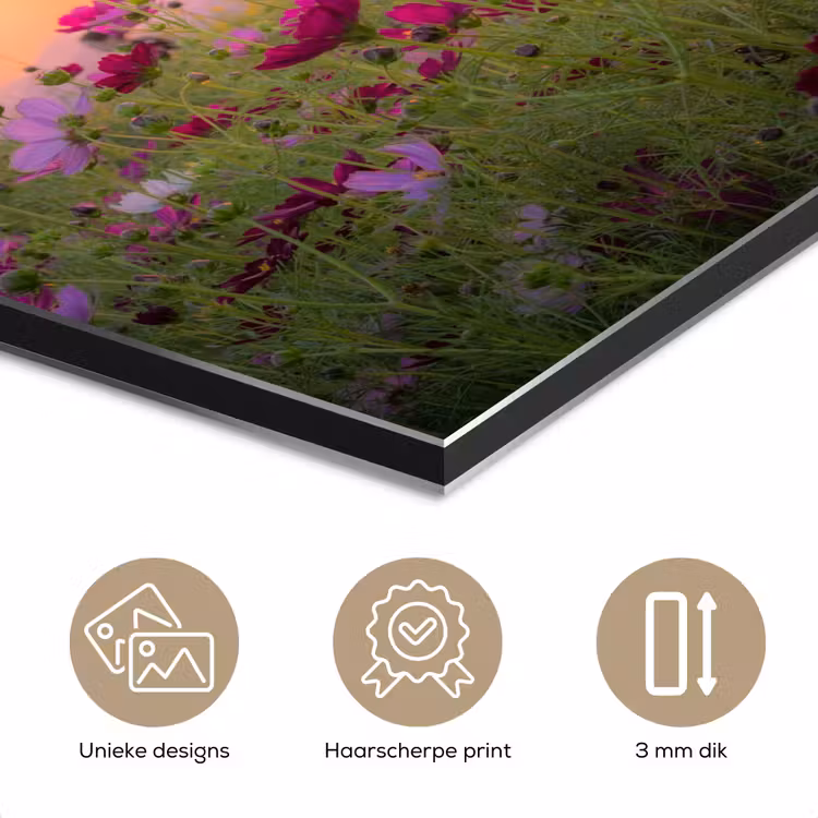 Bloemen - Roze - Zonsondergang - Natuur - Weide - Horizon aluminium wit klein -closeup_NL