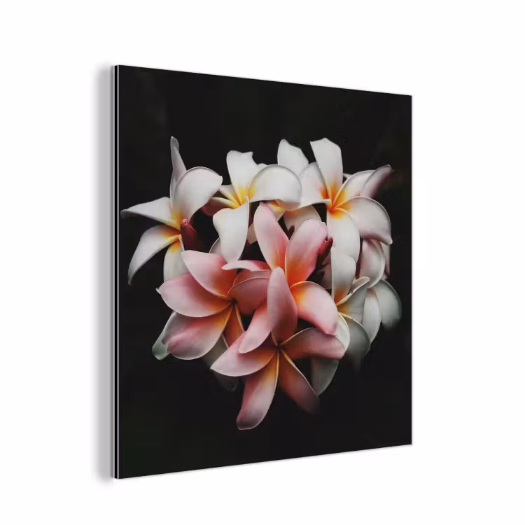 Bloemen - Roze - Zwart - Flora - Botanisch aluminium wit klein -3d