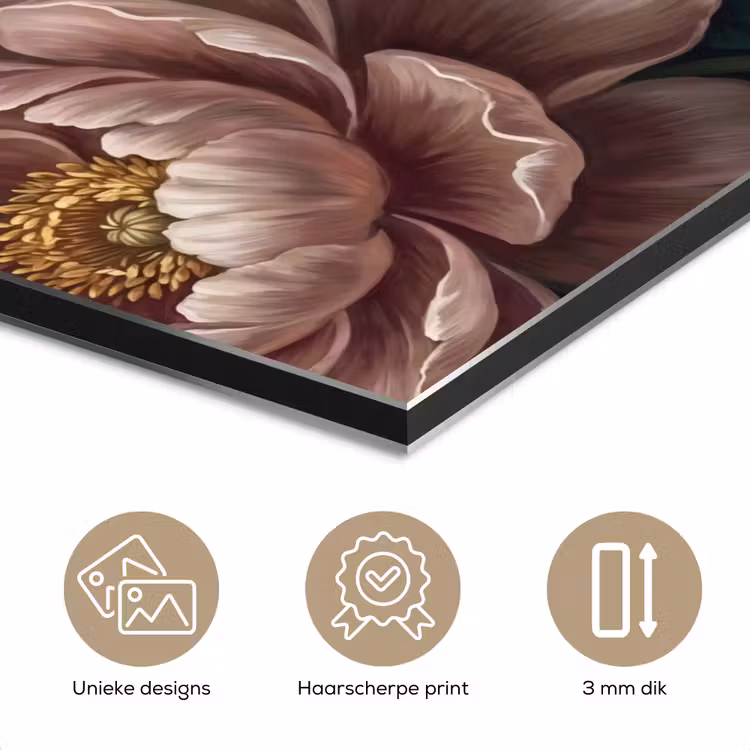 Bloemen - Vlinder - Natuur - Modern - Paars aluminium wit klein -closeup_NL