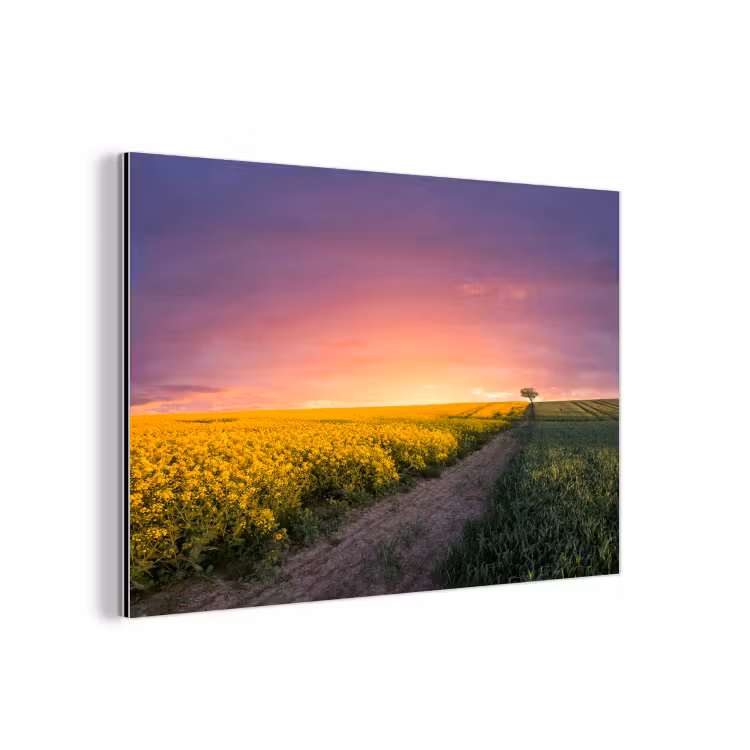 Bloemen - Weg - Lucht - Geel - Paars - Zonsondergang - Natuur aluminium wit klein -3d