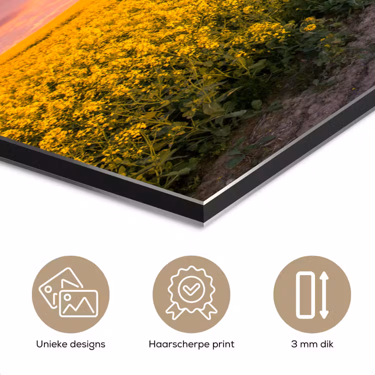 Bloemen - Weg - Lucht - Geel - Paars - Zonsondergang - Natuur aluminium wit klein -closeup_NL