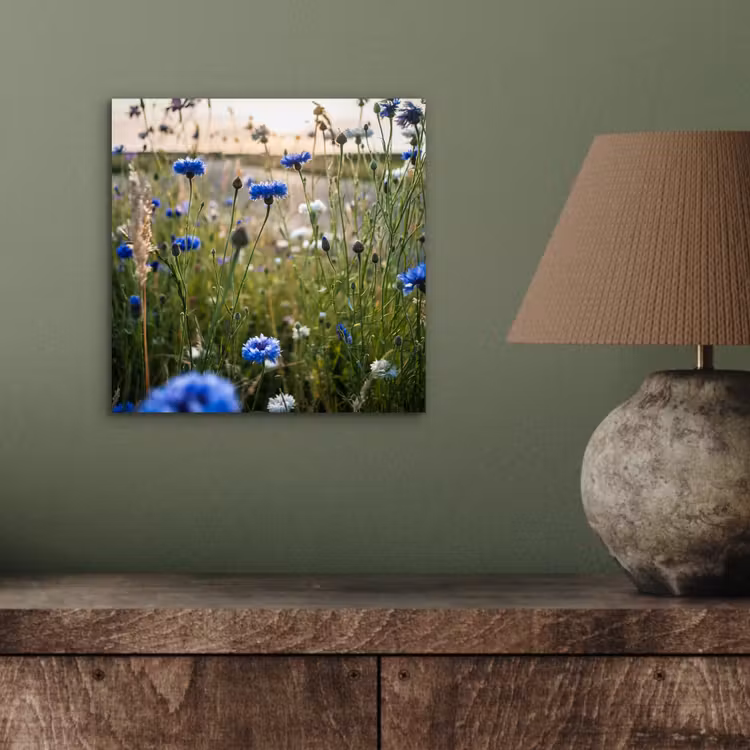 Bloemen - Zomer - Korenbloem - Blauw - Zon - Wolken aluminium wit klein -sfeer2