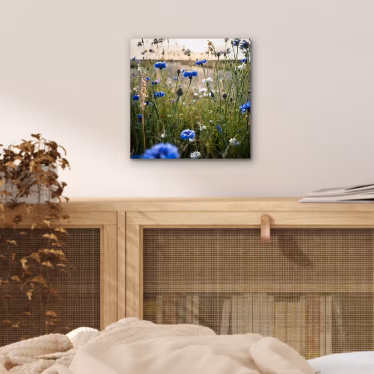 Bloemen - Zomer - Korenbloem - Blauw - Zon - Wolken aluminium wit klein -sfeer3