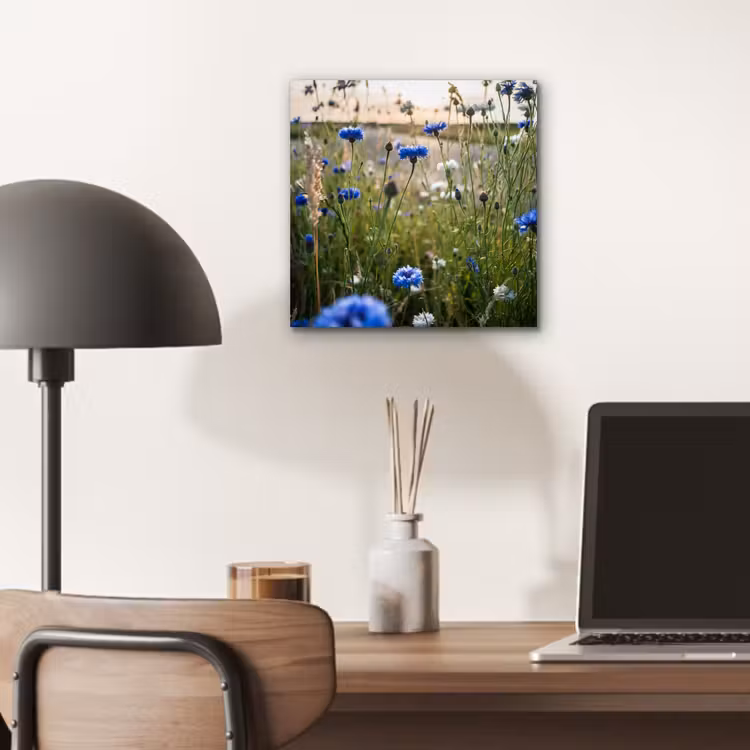 Bloemen - Zomer - Korenbloem - Blauw - Zon - Wolken aluminium wit klein -sfeer5
