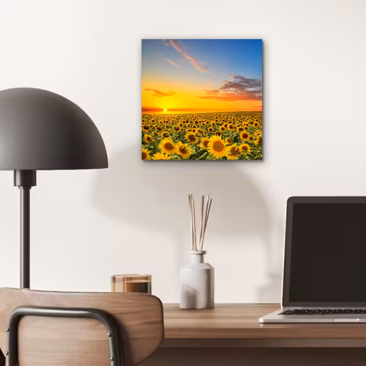 Bloemen - Zonnebloem - Zonsondergang - Nacht - Oranje aluminium wit klein -sfeer5