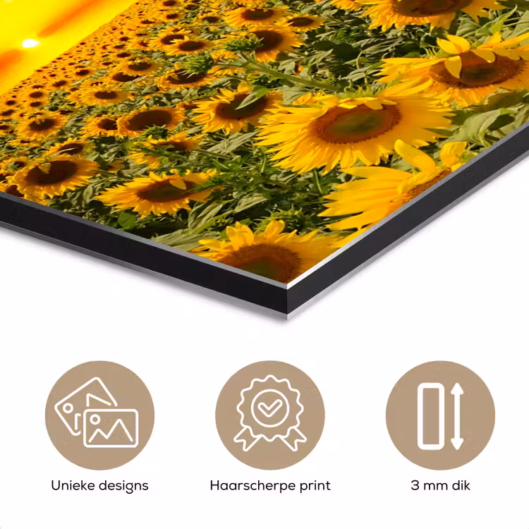 Bloemen - Zonnebloem - Zonsondergang - Nacht - Oranje aluminium wit klein -closeup_NL