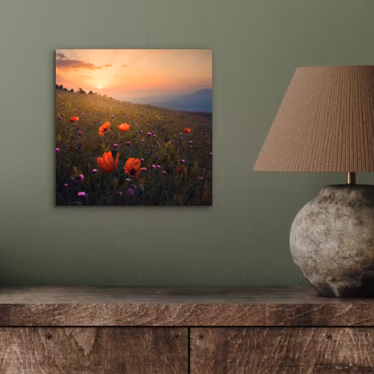 Bloemenveld - Gras - Bloemen - Planten - Zonsondergang - Oranje aluminium wit klein -sfeer2