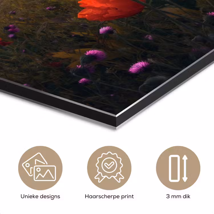 Bloemenveld - Gras - Bloemen - Planten - Zonsondergang - Oranje aluminium wit klein -closeup_NL