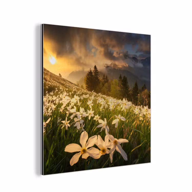 Bloemenveld - Heuvels - Zonsondergang - Berg - Natuur - Wit - Heuvels aluminium wit klein -3d