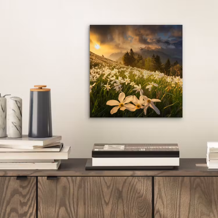 Bloemenveld - Heuvels - Zonsondergang - Berg - Natuur - Wit - Heuvels aluminium wit klein -sfeer1