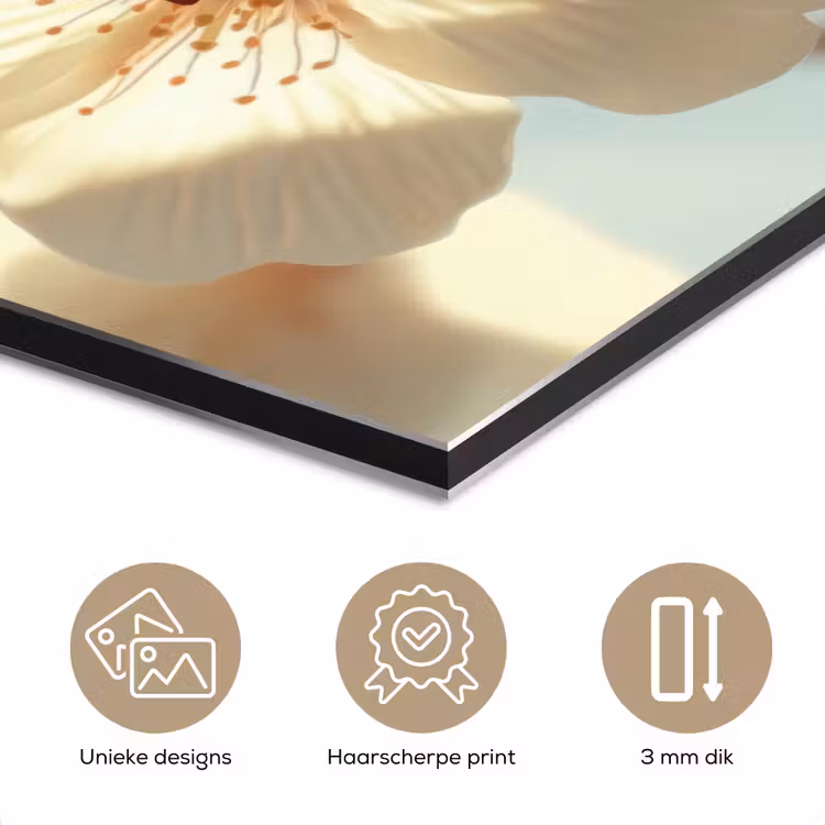 Bloesems - Zonlicht - Quote - Wit aluminium wit klein -closeup_NL