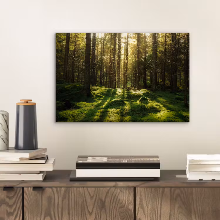 Bomen - Bos - Mos - Planten - Zon - Natuur aluminium wit klein -sfeer1