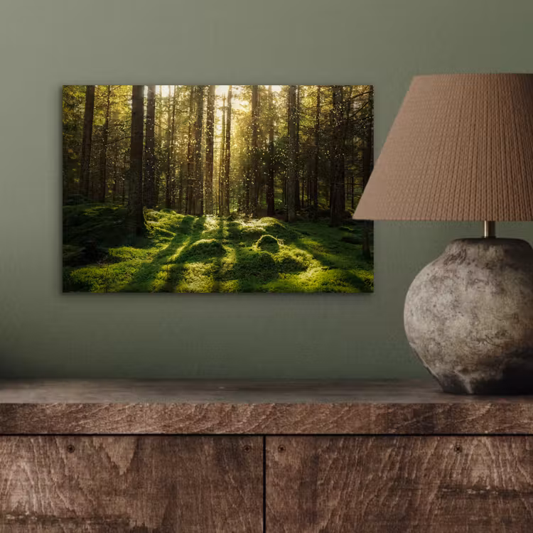Bomen - Bos - Mos - Planten - Zon - Natuur aluminium wit klein -sfeer2