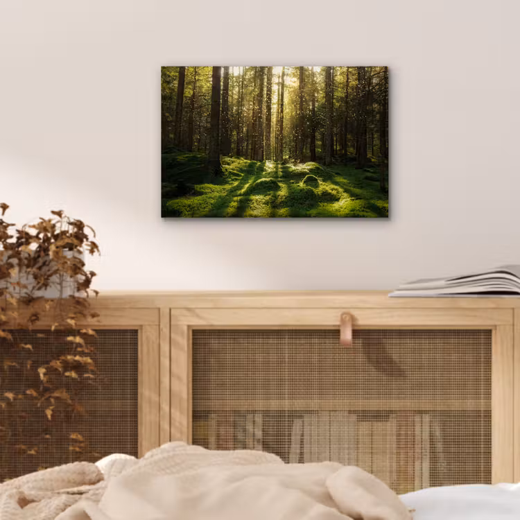 Bomen - Bos - Mos - Planten - Zon - Natuur aluminium wit klein -sfeer3