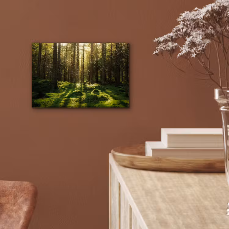 Bomen - Bos - Mos - Planten - Zon - Natuur aluminium wit klein -sfeer4
