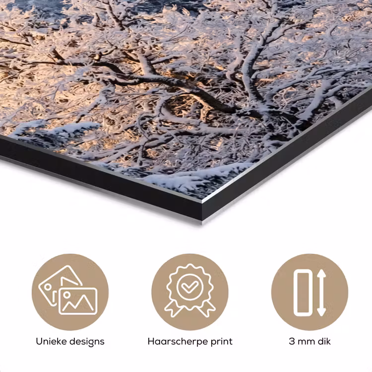 Bos - Bergen - Goud - Winter - Warm aluminium wit klein -closeup_NL