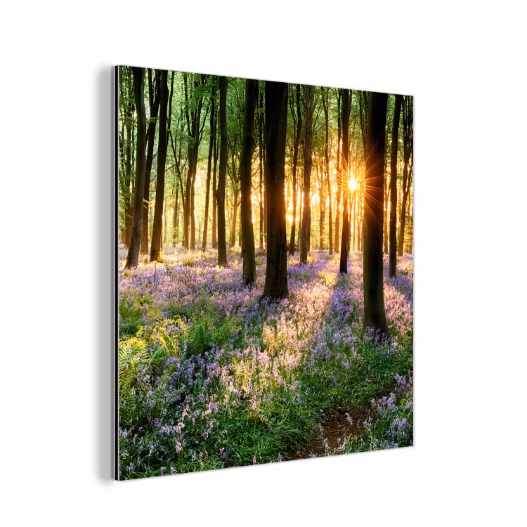 Bos - Bloemen - Lavendel - Zon - Paars - Natuur aluminium wit klein -3d