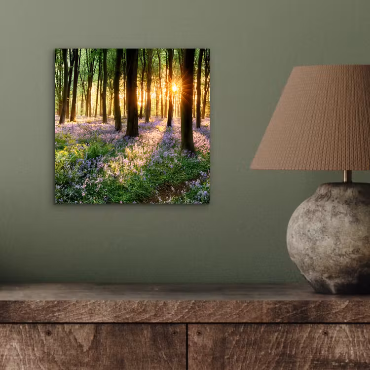 Bos - Bloemen - Lavendel - Zon - Paars - Natuur aluminium wit klein -sfeer2