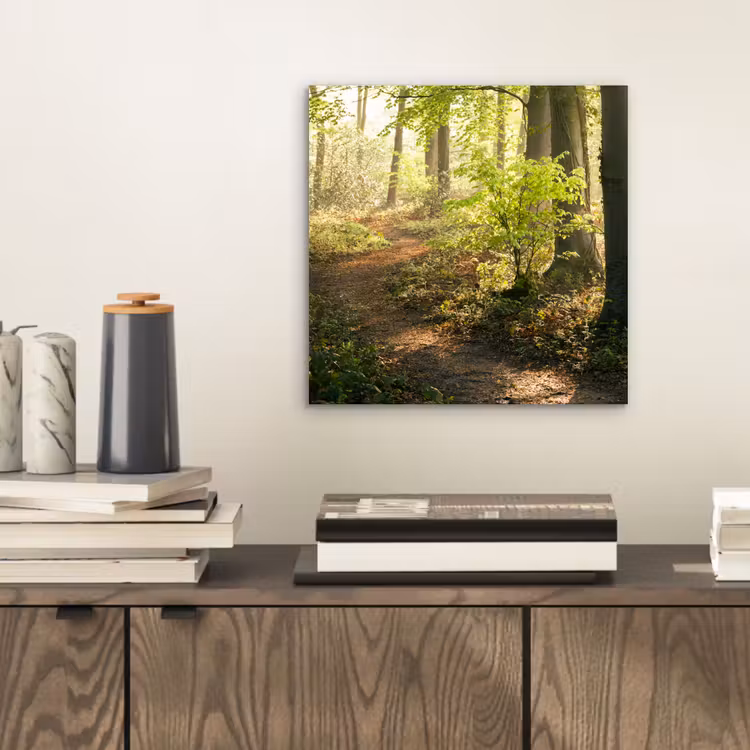 Bos - Bomen - Pad - Zon - Planten - Bladeren - Natuur aluminium wit klein -sfeer1