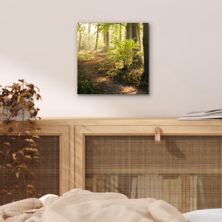 Bos - Bomen - Pad - Zon - Planten - Bladeren - Natuur aluminium wit klein -sfeer3