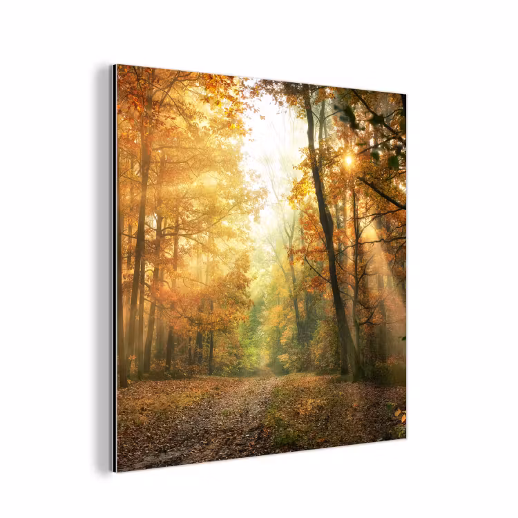 Bos - Herfst - Zon - Landschap - Natuur - Bomen - Bladeren aluminium wit klein -3d