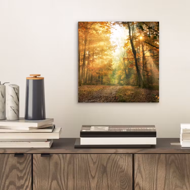 Bos - Herfst - Zon - Landschap - Natuur - Bomen - Bladeren aluminium wit klein -sfeer1