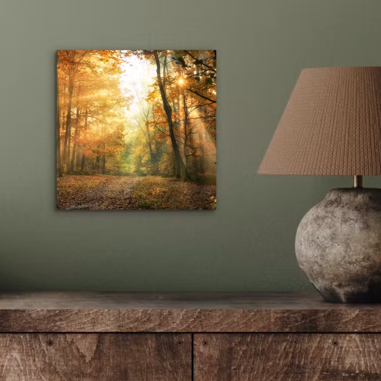 Bos - Herfst - Zon - Landschap - Natuur - Bomen - Bladeren aluminium wit klein -sfeer2