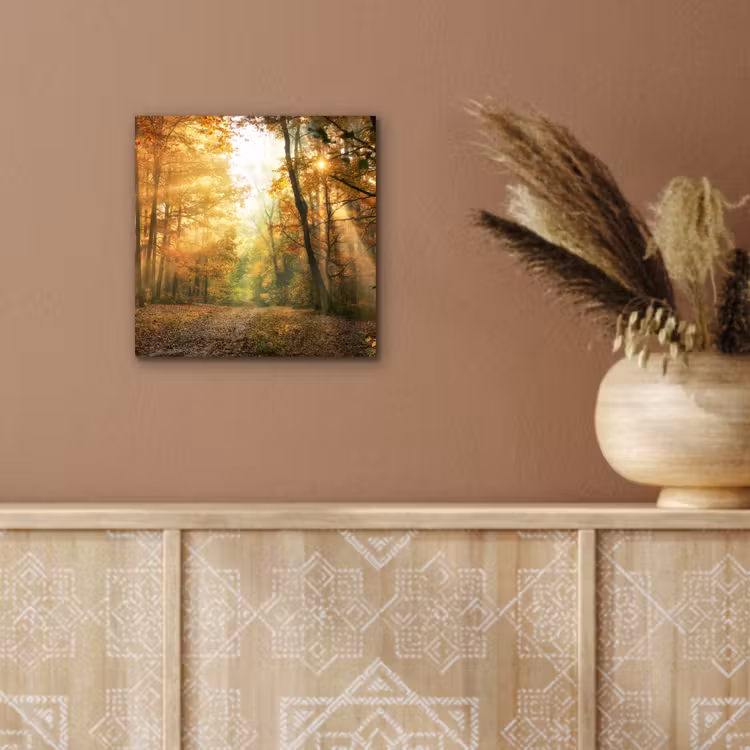 Bos - Herfst - Zon - Landschap - Natuur - Bomen - Bladeren aluminium wit klein -sfeer4