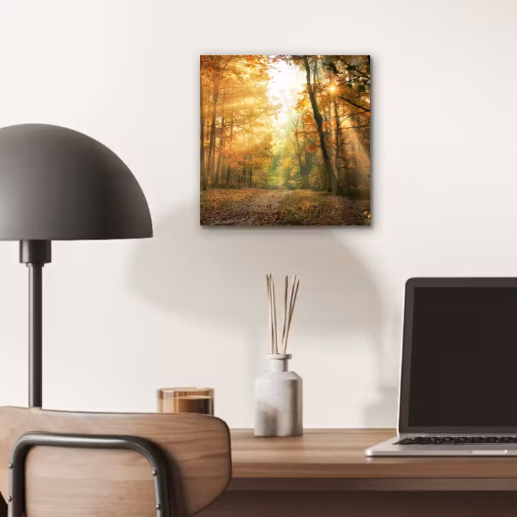 Bos - Herfst - Zon - Landschap - Natuur - Bomen - Bladeren aluminium wit klein -sfeer5