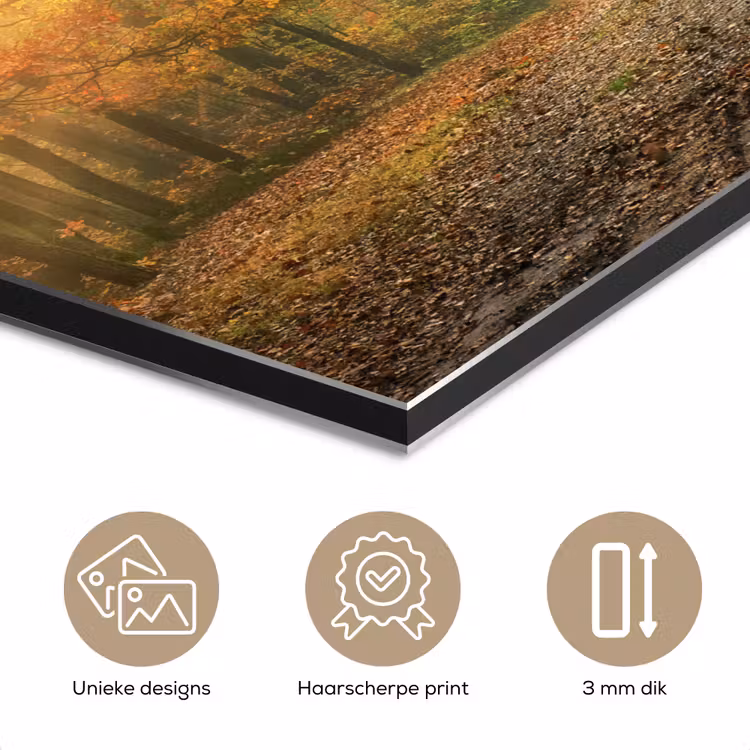 Bos - Herfst - Zon - Landschap - Natuur - Bomen - Bladeren aluminium wit klein -closeup_NL