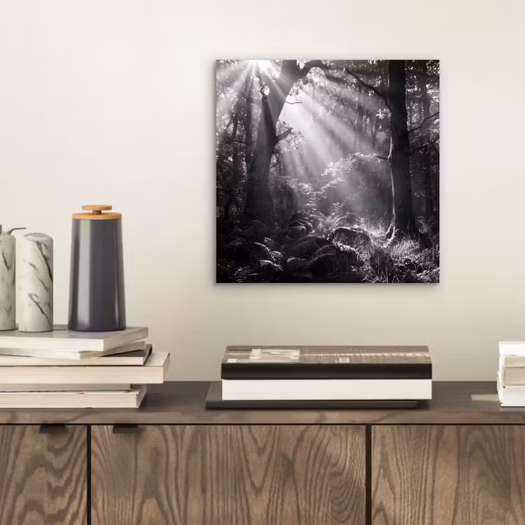 Bos - Lichtstralen - Natuur - Zwart-wit aluminium wit klein -sfeer1