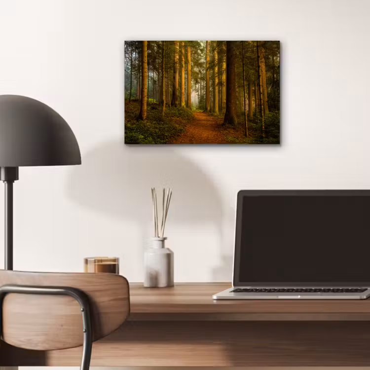 Bos - Natuur - Bomen - Landschap - Bladeren aluminium wit klein -sfeer5