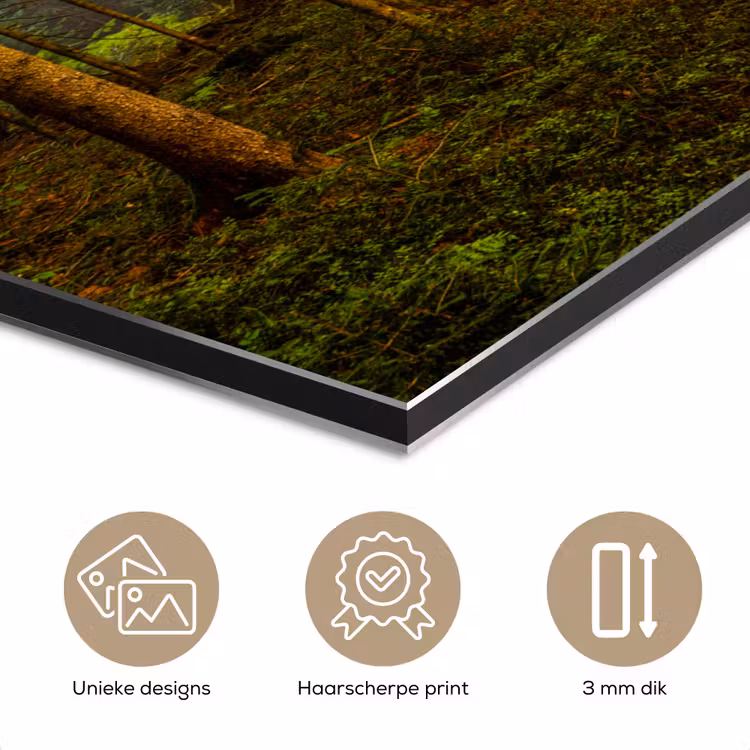 Bos - Natuur - Bomen - Landschap - Bladeren aluminium wit klein -closeup_NL