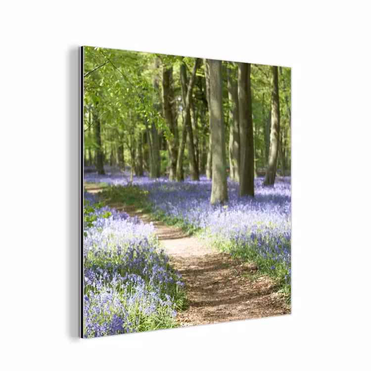 Bos - Pad - Bloemen - Paars - Groen - Natuur aluminium wit klein -3d