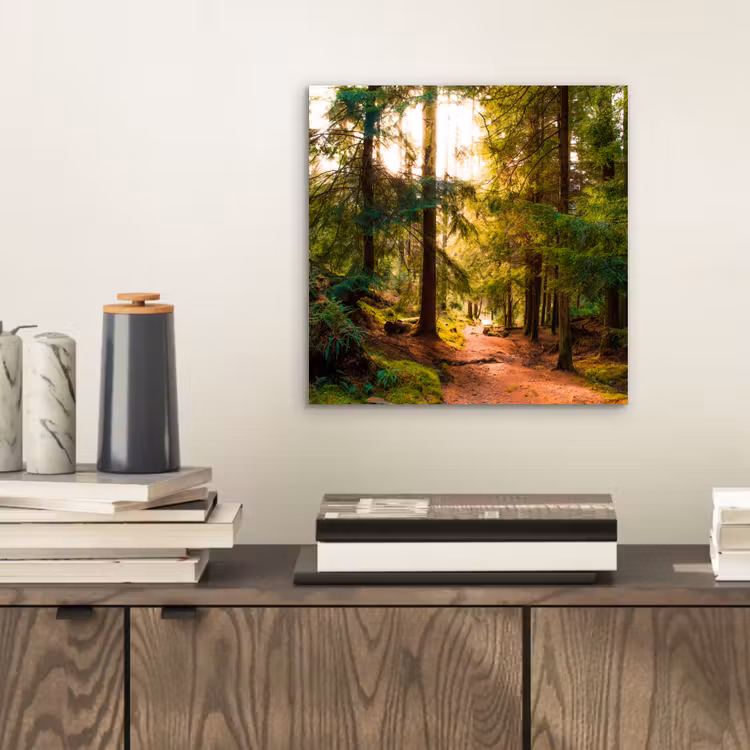 Bos - Pad - Bomen - Groen - Zon - Natuur aluminium wit klein -sfeer1