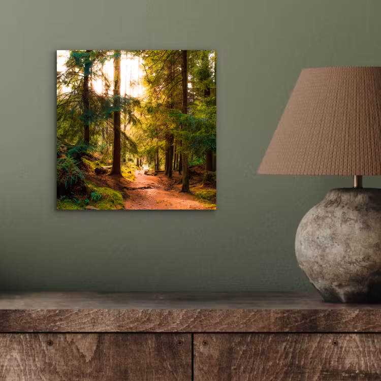 Bos - Pad - Bomen - Groen - Zon - Natuur aluminium wit klein -sfeer2