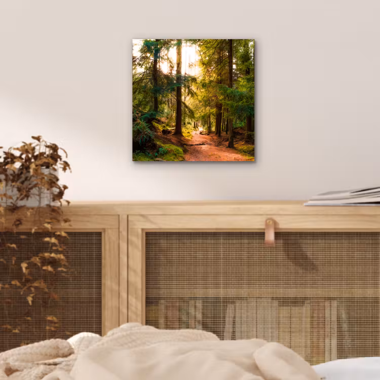 Bos - Pad - Bomen - Groen - Zon - Natuur aluminium wit klein -sfeer3